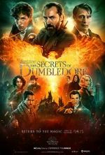 Watch Fantastic Beasts: The Secrets of Dumbledore Tvmuse