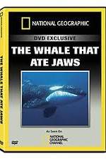 Watch Predator CSI The Whale That Ate Jaws Tvmuse