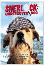 Watch Sherlock Undercover Dog Tvmuse