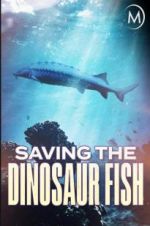 Watch Saving the Dinosaur Fish Tvmuse