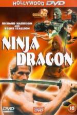 Watch Ninja Dragon Tvmuse