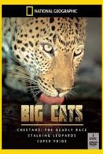 Watch National Geographic: Living With Big Cats Tvmuse