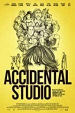 Watch An Accidental Studio Tvmuse