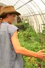 Watch Green House Seeds Strain Hunters India Expedition Tvmuse