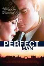 Watch A Perfect Man Tvmuse