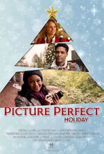 Watch A Picture Perfect Holiday Tvmuse