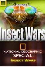 Watch National Geographic Insect Wars Tvmuse
