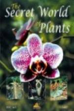 Watch The Secret World of Plants Tvmuse
