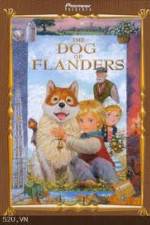 Watch The Dog of Flanders Tvmuse