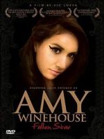 Watch Amy Winehouse: Fallen Star Tvmuse