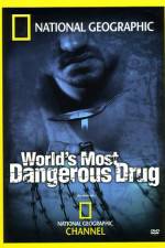 Watch Worlds Most Dangerous Drug Tvmuse