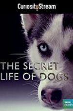 Watch Secret Life of Dogs Tvmuse
