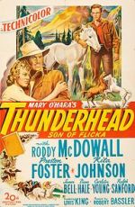 Watch Thunderhead: Son of Flicka Tvmuse