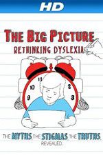 Watch The Big Picture Rethinking Dyslexia Tvmuse