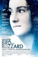 Watch White Bird in a Blizzard Tvmuse