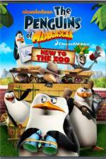 Watch Penguins of Madagascar New to the Zoo Tvmuse