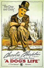 Watch A Dog's Life (Short 1918) Tvmuse
