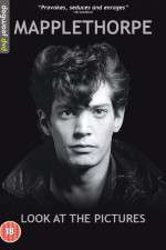Watch Mapplethorpe: Look at the Pictures Tvmuse