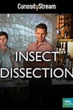 Watch Insect Dissection: How Insects Work Tvmuse