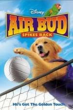 Watch Air Bud Spikes Back Tvmuse