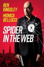 Watch Spider in the Web Tvmuse