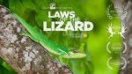 Watch Laws of the Lizard Tvmuse