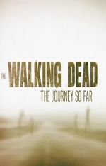 Watch The Walking Dead: The Journey So Far Tvmuse