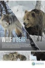 Watch Wolf vs Bear Tvmuse
