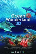 Watch Ocean Wonderland Tvmuse