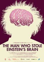 Watch The Man Who Stole Einstein\'s Brain Tvmuse