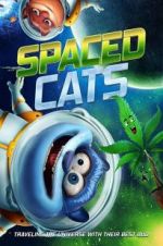 Watch Spaced Cats Tvmuse
