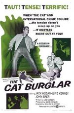 Watch The Cat Burglar Tvmuse