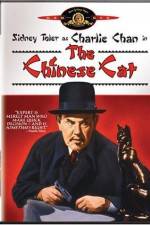 Watch Charlie Chan in The Chinese Cat Tvmuse