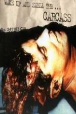 Watch Carcass - Wake Up and Smell the Carcass Tvmuse