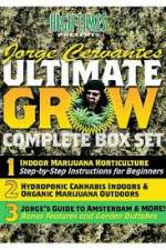 Watch Jorge Cervantes Ultimate Grow Complete Box Set Tvmuse