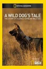 Watch A Wild Dogs Tale Tvmuse
