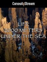 Watch Life 2,000 Meters Under the Sea Tvmuse