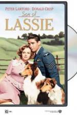 Watch Son of Lassie Tvmuse