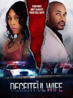 Watch The Deceitful Wife Tvmuse