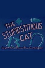 Watch The Stupidstitious Cat Tvmuse