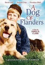 Watch A Dog of Flanders Tvmuse