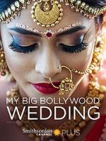 Watch My Big Bollywood Wedding Tvmuse