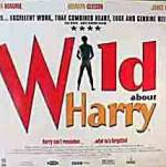 Watch Wild About Harry Tvmuse