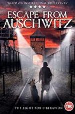 Watch The Escape from Auschwitz Tvmuse