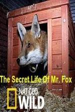 Watch The Secret Life of Mr. Fox Tvmuse