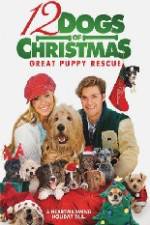 Watch 12 Dogs of Christmas Great Puppy Rescue Tvmuse