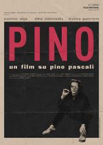 Watch Pino Tvmuse