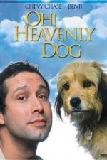 Watch Oh Heavenly Dog Tvmuse