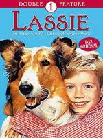 Watch Lassie: A New Beginning Tvmuse