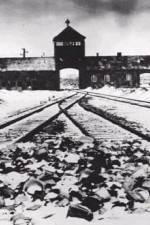 Watch AUSCHWITZ: CORRUPTION Tvmuse